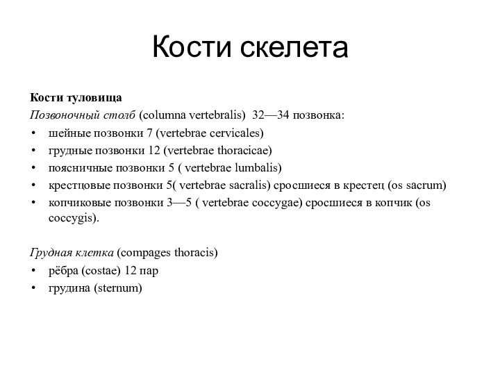 Кости скелета Кости туловища Позвоночный столб (columna vertebralis) 32—34 позвонка: шейные