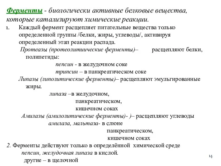 Ферменты - биологически активные белковые вещества, которые катализируют химические реакции. Каждый