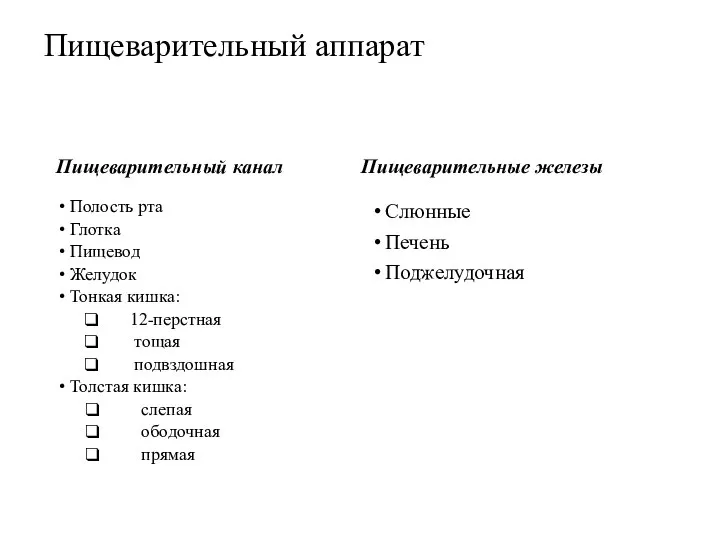 Пищеварительный аппарат Пищеварительный канал Полость рта Глотка Пищевод Желудок Тонкая кишка: