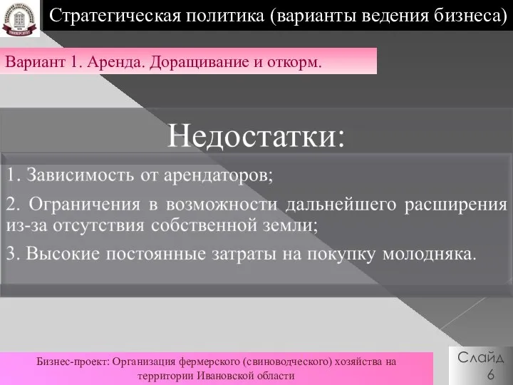 Вариант 1. Аренда. Доращивание и откорм. Слайд 6 Стратегическая политика (варианты