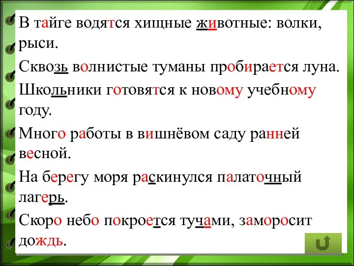 В тайге водятся хищные животные: волки, рыси. Сквозь волнистые туманы пробирается