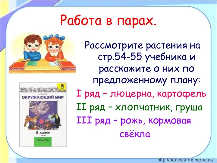 Работа в парах. Рассмотрите растения на стр.54-55 учебника и расскажите о