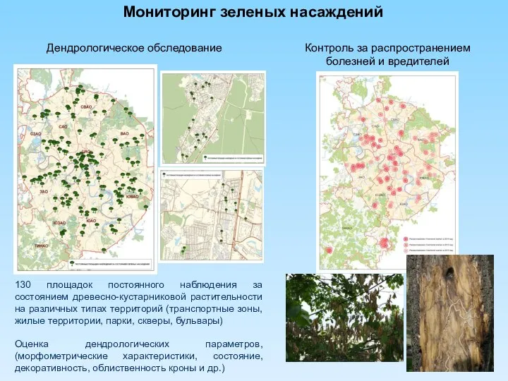 130 площадок постоянного наблюдения за состоянием древесно-кустарниковой растительности на различных типах