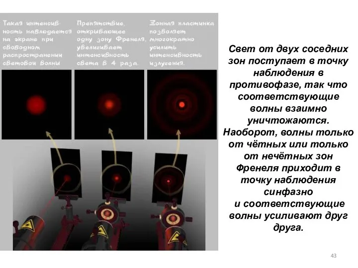Свет от двух соседних зон поступает в точку наблюдения в противофазе,