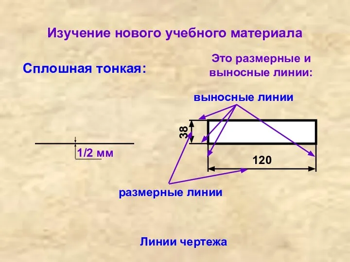 Изучение нового учебного материала Линии чертежа Сплошная тонкая: Это размерные и