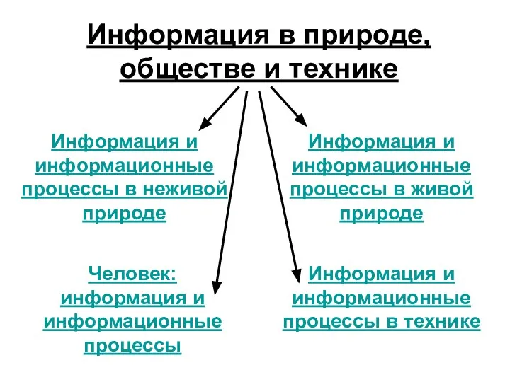 Информация в природе, обществе и технике Информация и информационные процессы в