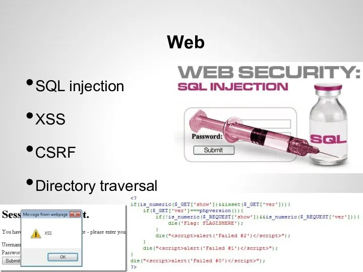 Web SQL injection XSS CSRF Directory traversal PHP injection