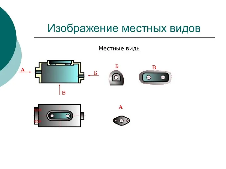 Изображение местных видов Местные виды А А Б Б В В