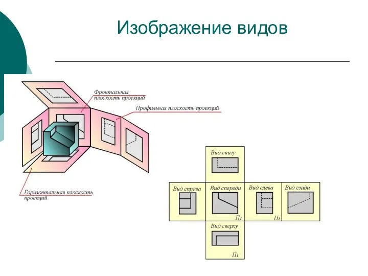 Изображение видов