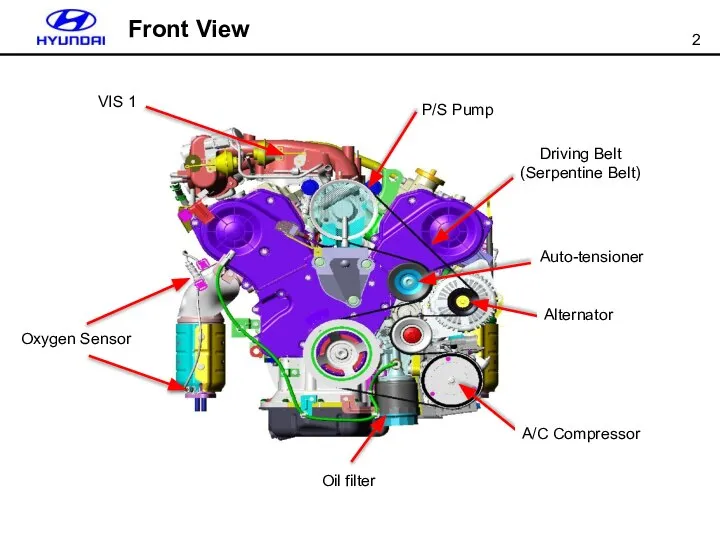 P/S Pump Auto-tensioner Driving Belt (Serpentine Belt) Alternator A/C Compressor Oil