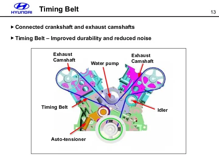 ▶ Connected crankshaft and exhaust camshafts ▶ Timing Belt – Improved