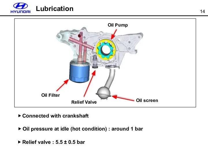 ▶ Connected with crankshaft ▶ Oil pressure at idle (hot condition)