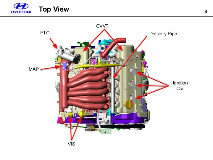 Ignition Coil Delivery Pipe ETC VIS MAP CVVT Top View