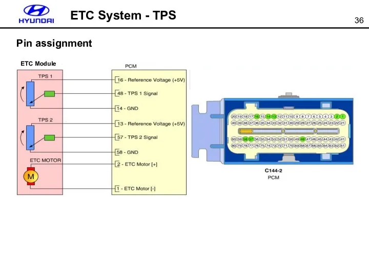 ETC System - TPS Pin assignment