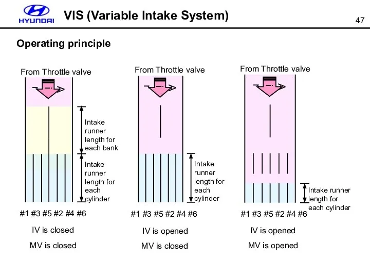 IV is closed MV is closed IV is opened MV is