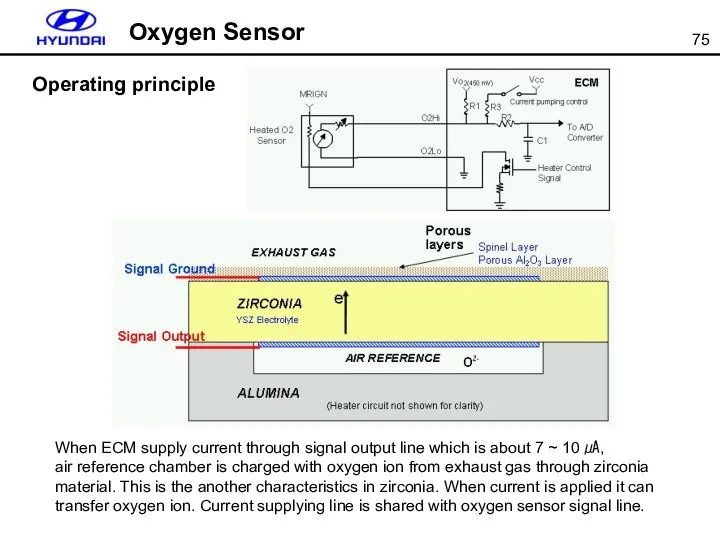 Oxygen Sensor When ECM supply current through signal output line which