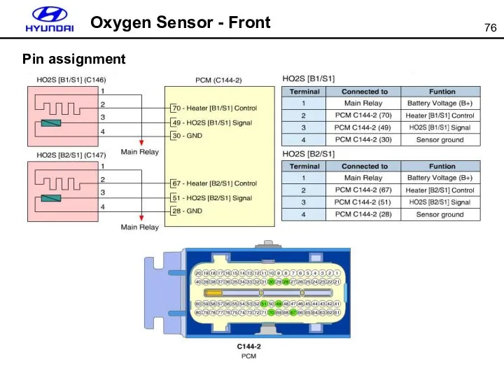 Oxygen Sensor - Front Pin assignment