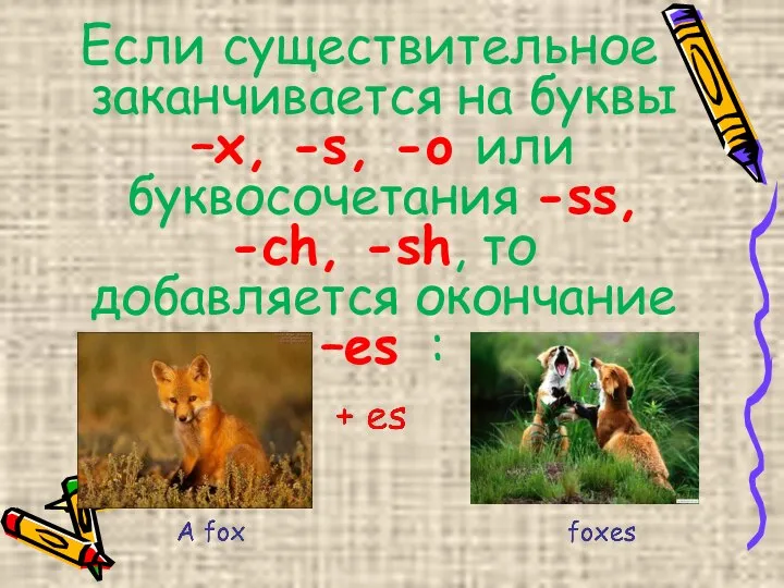 Если существительное заканчивается на буквы –x, -s, -o или буквосочетания -ss,