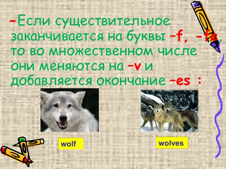 -Если существительное заканчивается на буквы –f, -fe, то во множественном числе