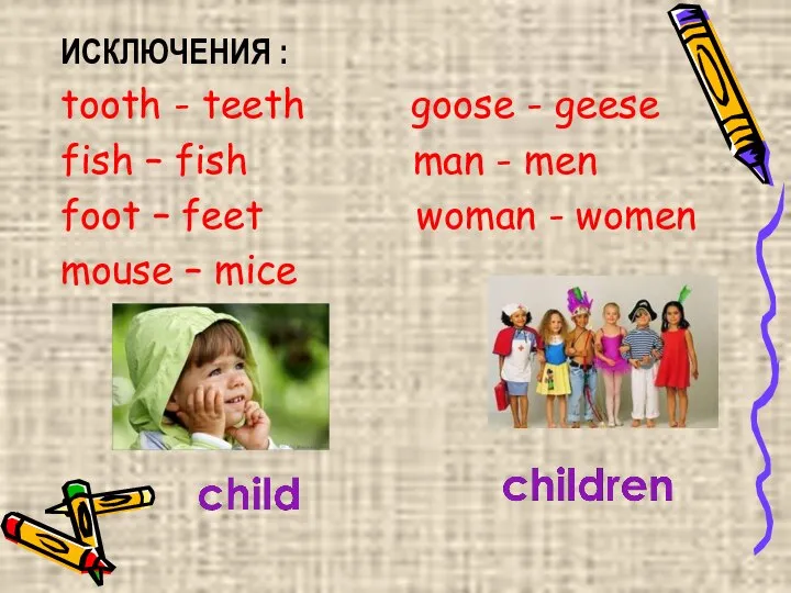 ИСКЛЮЧЕНИЯ : tooth - teeth goose - geese fish – fish