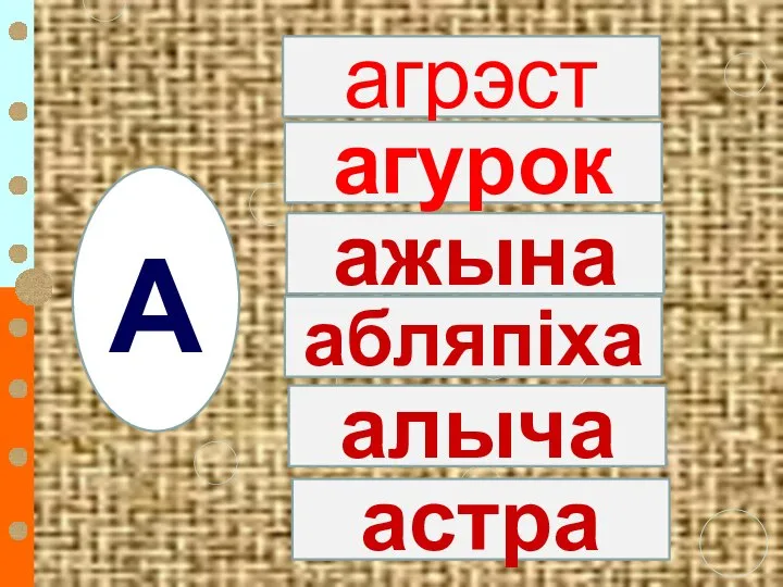 а А агрэст агурок абляпіха алыча астра ажына