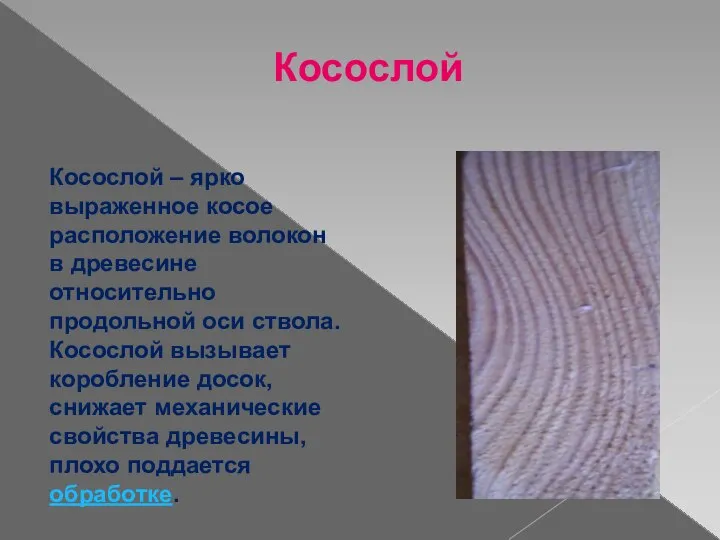 Косослой Косослой – ярко выраженное косое расположение волокон в древесине относительно