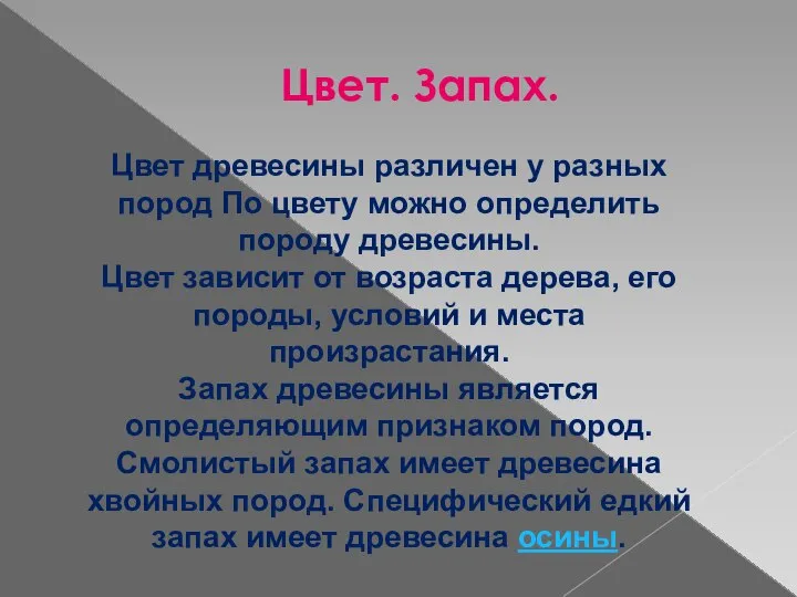 Цвет. Запах. Цвет древесины различен у разных пород По цвету можно