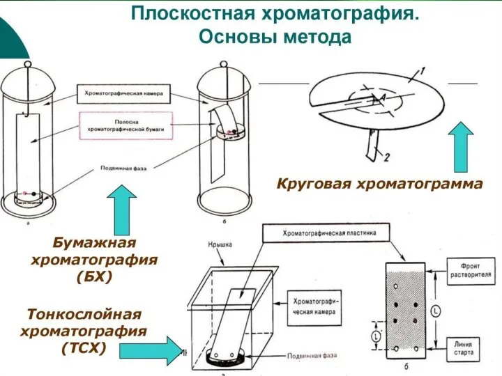 Различают колоночную, капиллярную и плоскостную хроматографии, т. е. хроматографию на бумаге