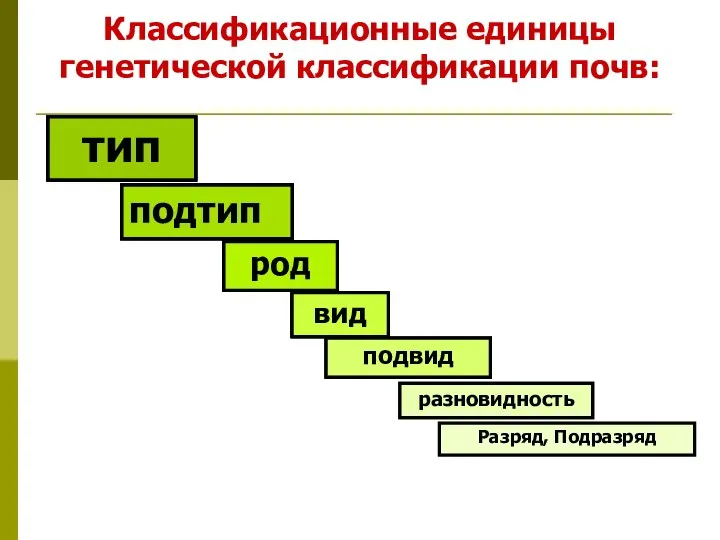 Классификационные единицы генетической классификации почв: тип подтип род вид подвид разновидность