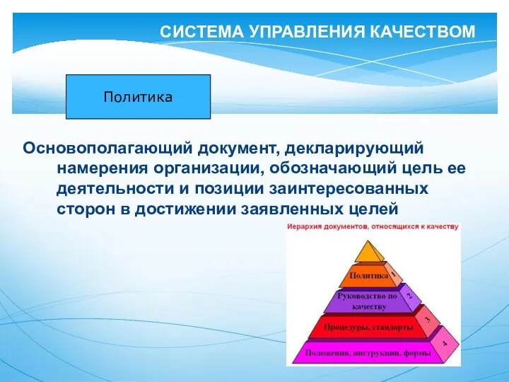 Основополагающий документ, декларирующий намерения организации, обозначающий цель ее деятельности и позиции