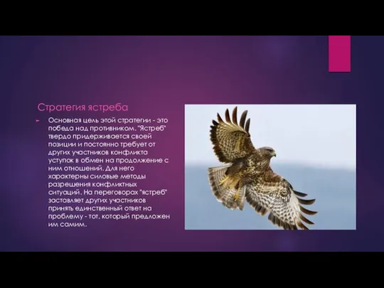 Стратегия ястреба Основная цель этой стратегии - это победа над противником.