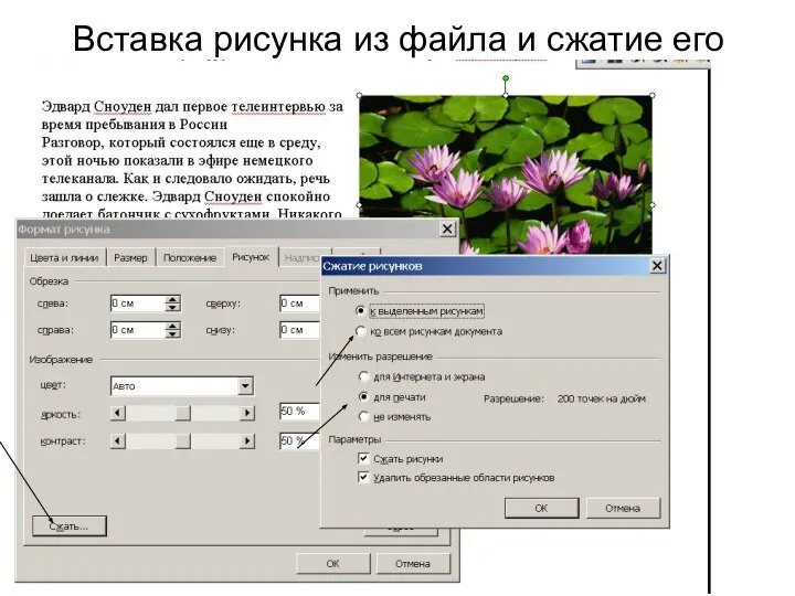 Вставка рисунка из файла и сжатие его