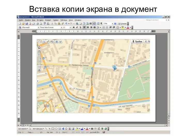 Вставка копии экрана в документ
