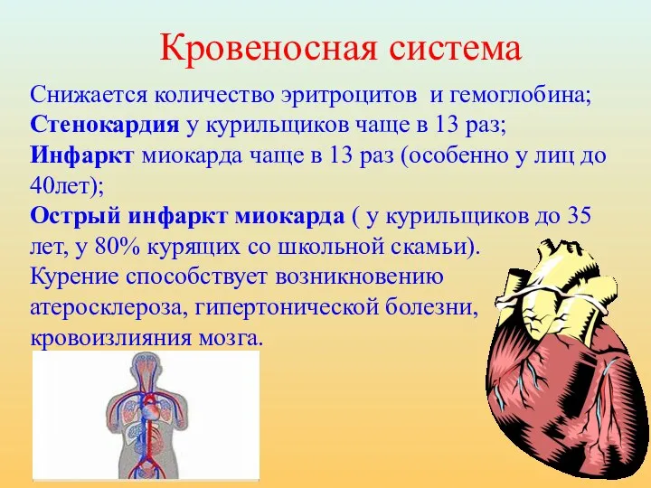 Снижается количество эритроцитов и гемоглобина; Стенокардия у курильщиков чаще в 13