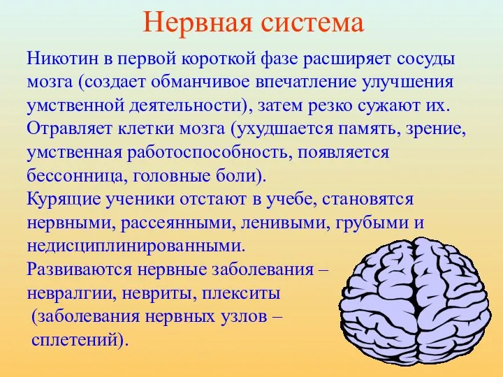 Никотин в первой короткой фазе расширяет сосуды мозга (создает обманчивое впечатление