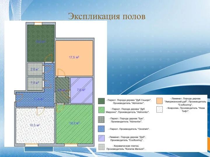 Экспликация полов