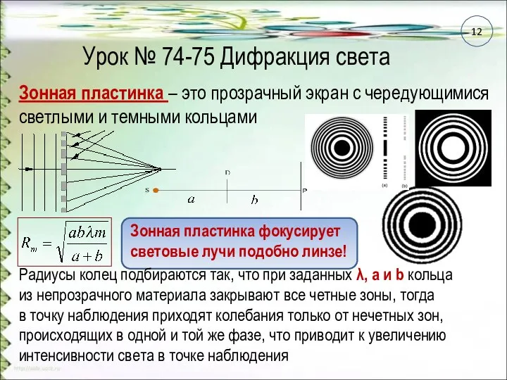 Урок № 74-75 Дифракция света Зонная пластинка – это прозрачный экран