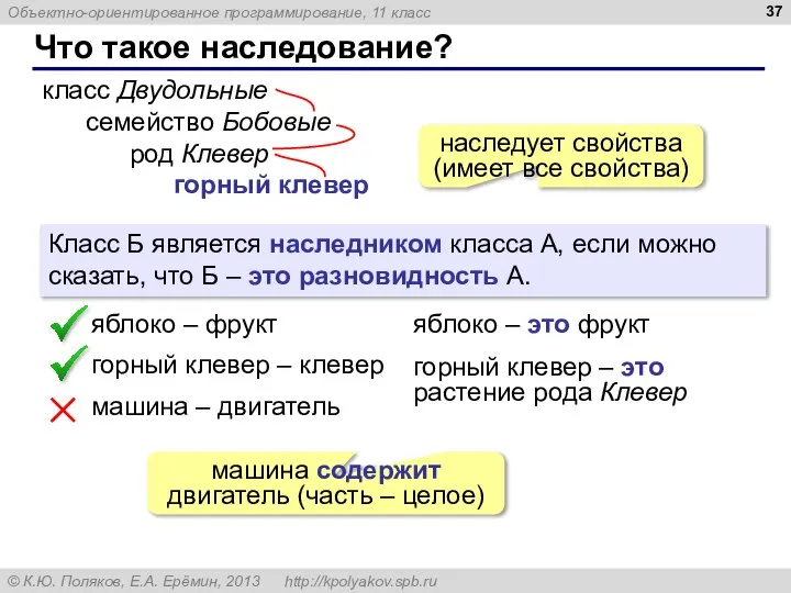 Что такое наследование? класс Двудольные семейство Бобовые род Клевер горный клевер