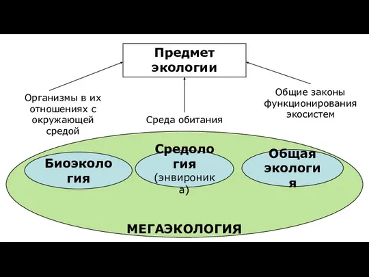 МЕГАЭКОЛОГИЯ Предмет экологии Организмы в их отношениях с окружающей средой Среда