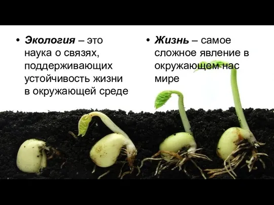 Экология – это наука о связях, поддерживающих устойчивость жизни в окружающей