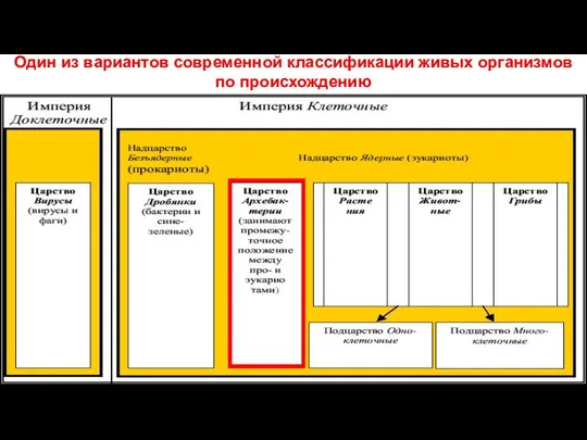 Один из вариантов современной классификации живых организмов по происхождению