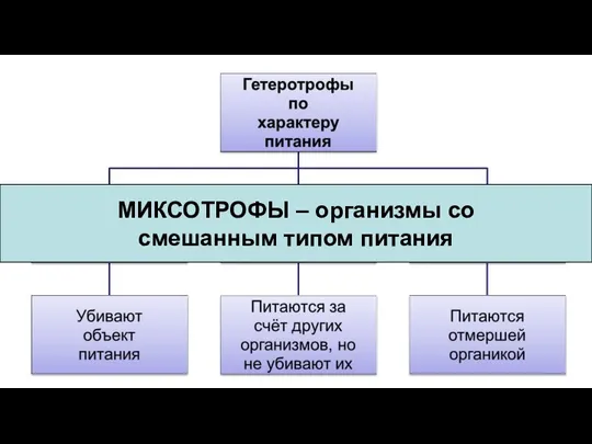 МИКСОТРОФЫ – организмы со смешанным типом питания