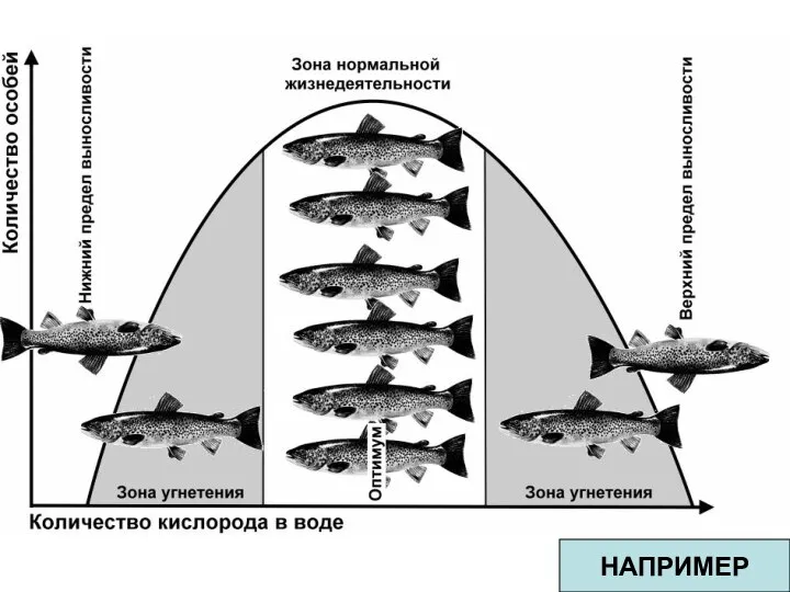 НАПРИМЕР