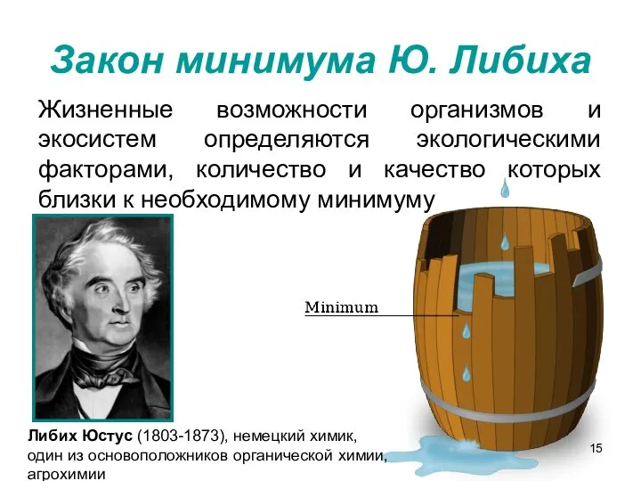 Закон минимума Ю. Либиха Жизненные возможности организмов и экосистем определяются экологическими