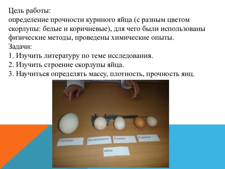Цель работы: определение прочности куриного яйца (с разным цветом скорлупы: белые