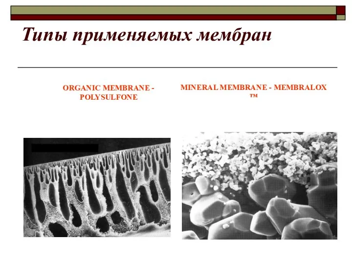 Типы применяемых мембран ORGANIC MEMBRANE - POLYSULFONE MINERAL MEMBRANE - MEMBRALOX ™