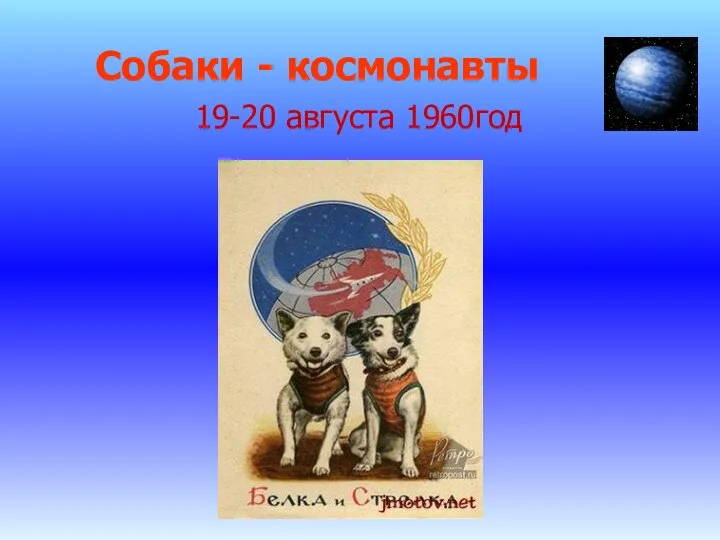 Собаки - космонавты 19-20 августа 1960год