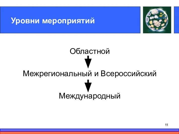 Уровни мероприятий Областной Межрегиональный и Всероссийский Международный