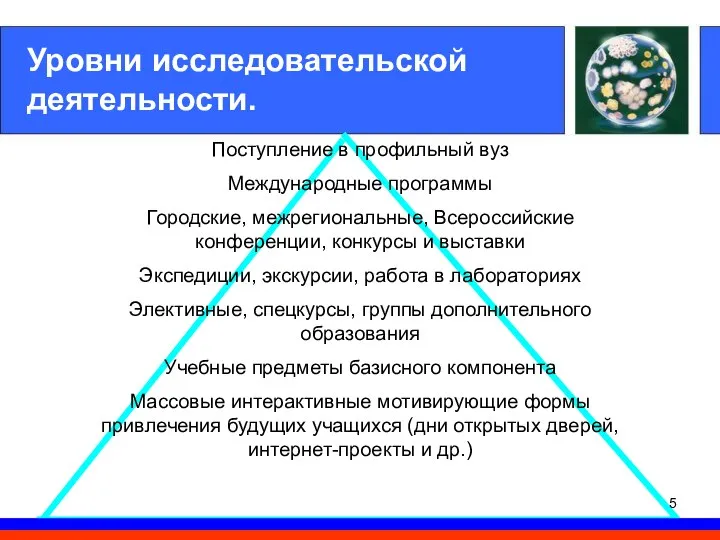 Уровни исследовательской деятельности. Поступление в профильный вуз Международные программы Городские, межрегиональные,