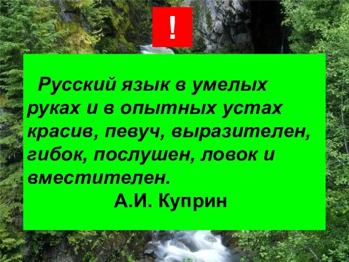 Русский язык в умелых руках и в опытных устах красив, певуч,